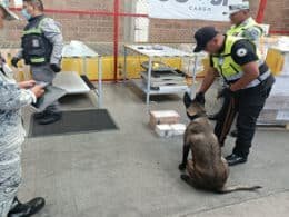 220526 ESTADO DE MEXICO 01