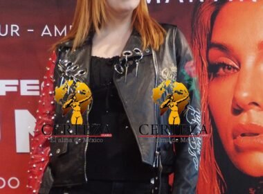 Leire