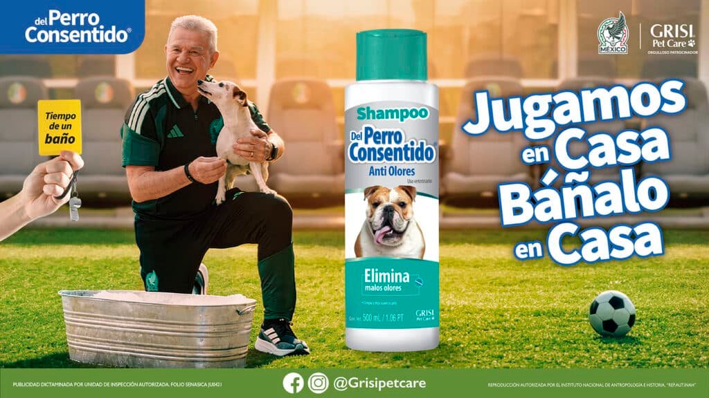 PERRO CONSENTIDO 3