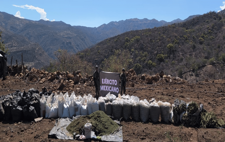 010626 JALISCO 01