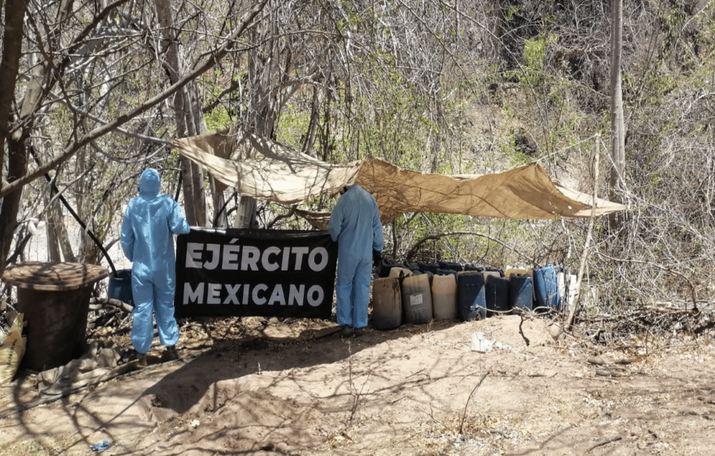 020626 SINALOA 4
