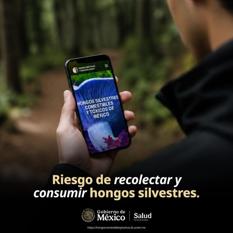 PHOTO 2026 06 30 16 49 36