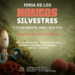 HONGOS
