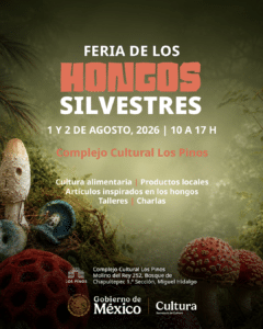 HONGOS