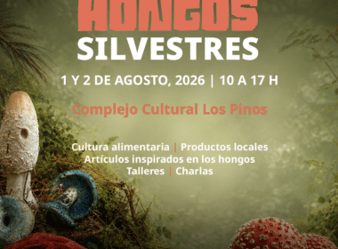 HONGOS