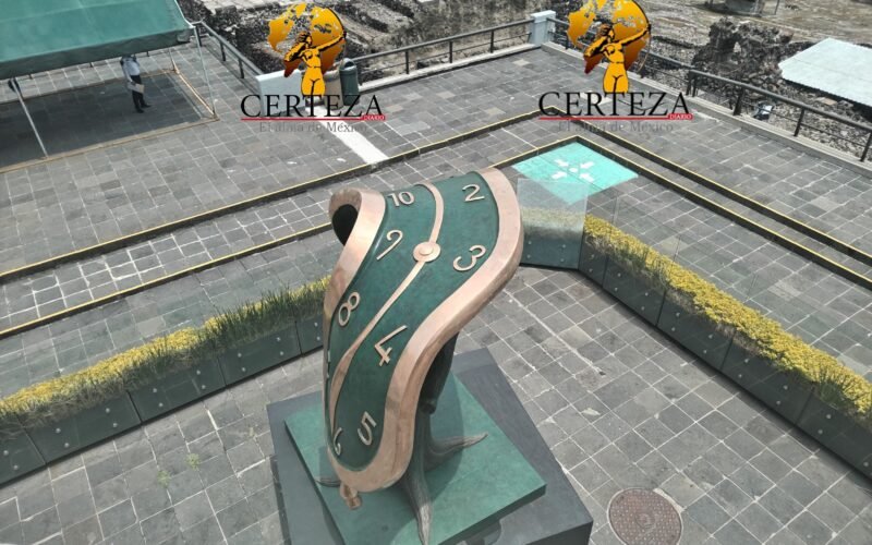 Imagen14