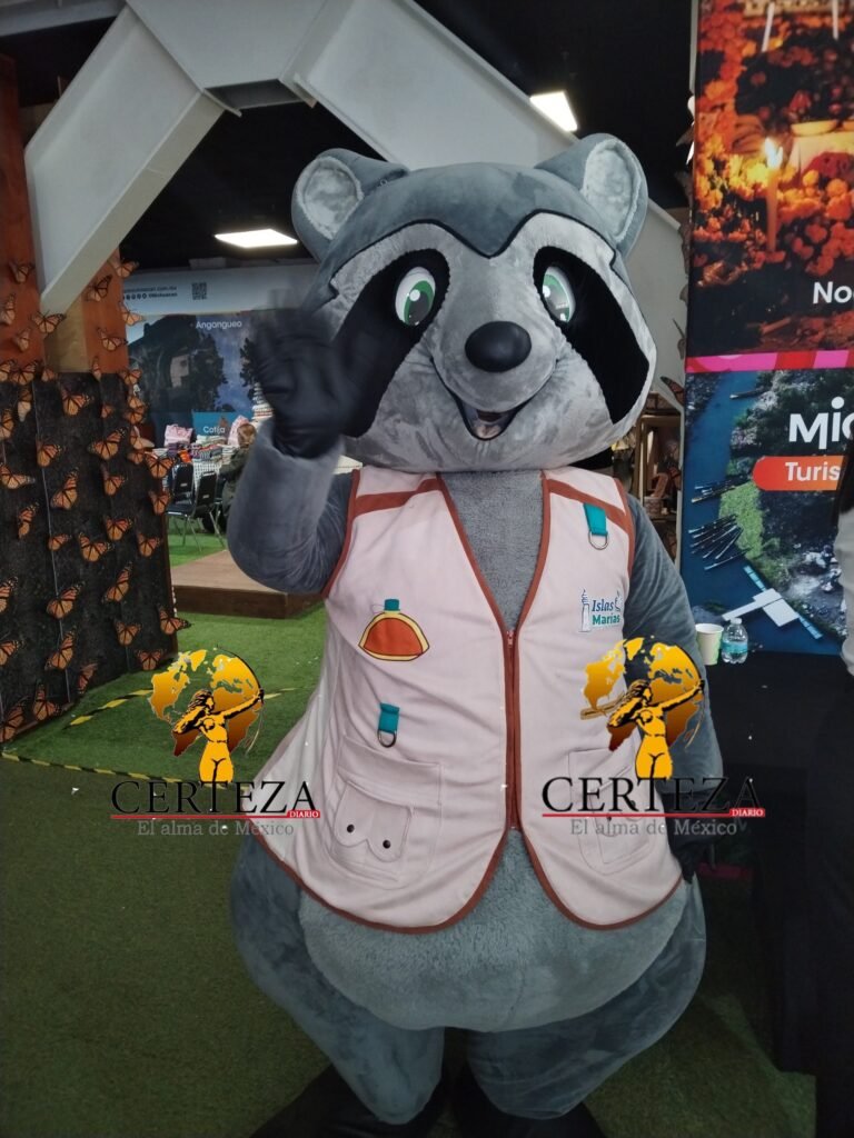 Imagen5