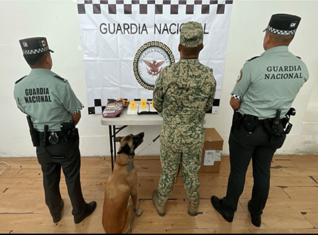 040826 BAJACALIFORNIA 04