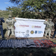 240826 CHIHUAHUA 01