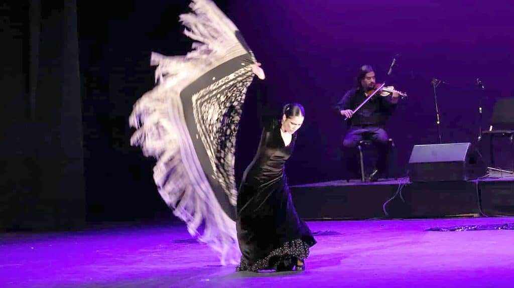 FLAMENCO 02