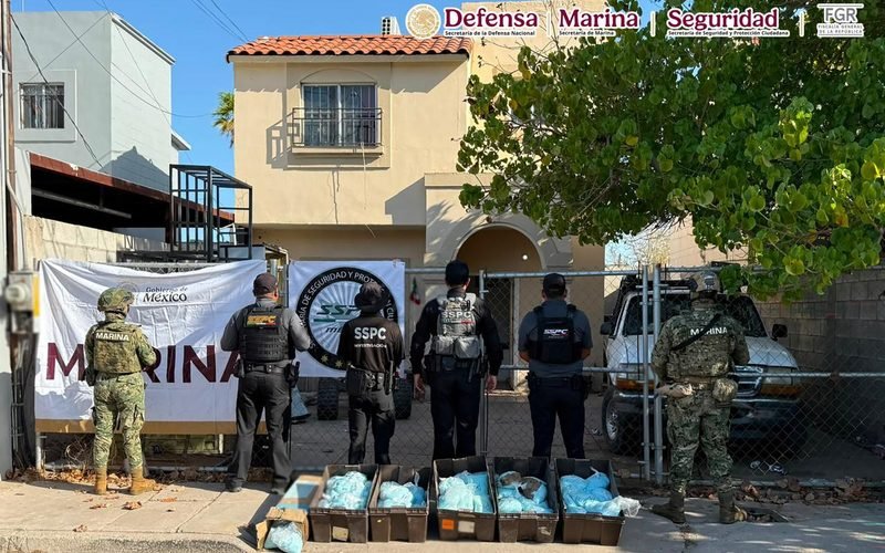 WhatsApp Image 2026 08 20 at 12.43.53 PM