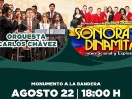 post BANNER OECCh copia