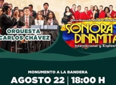 post BANNER OECCh copia