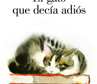 Captura de pantalla 2026 09 16 185918