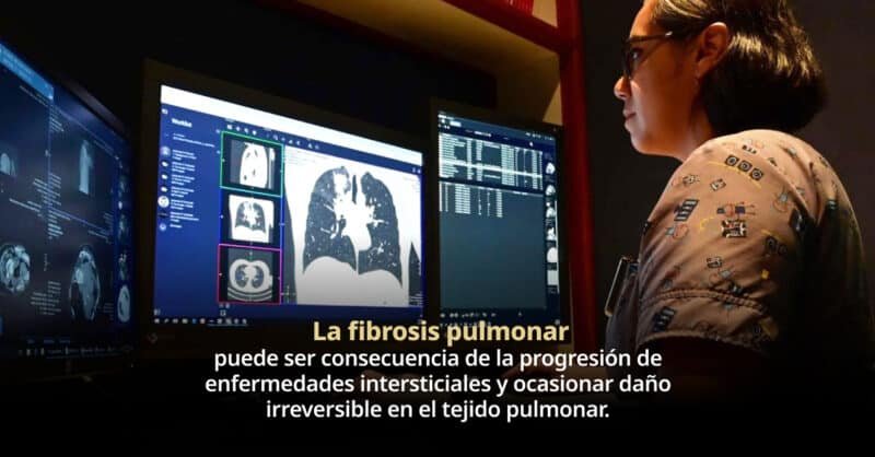 WEB Y BLOG