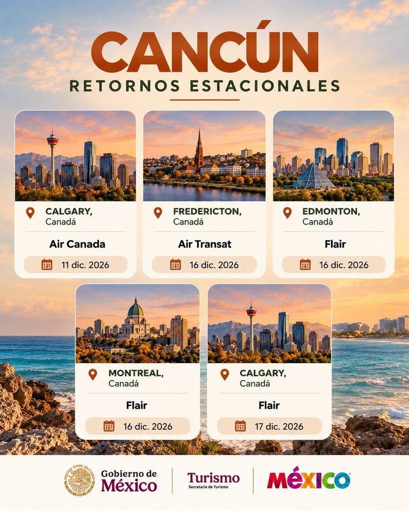Infografias 216 1